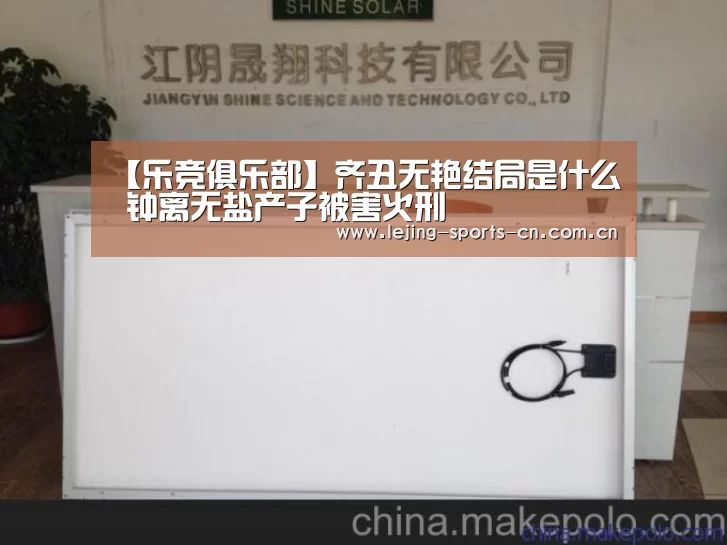 【乐竞俱乐部】齐丑无艳结局是什么 钟离无盐产子被害火刑(图3) 乐竞首页