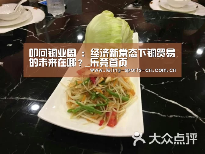 叩问铜业周 :经济新常态下铜贸易的未来在哪?_乐竞首页(图1) 乐竞俱乐部