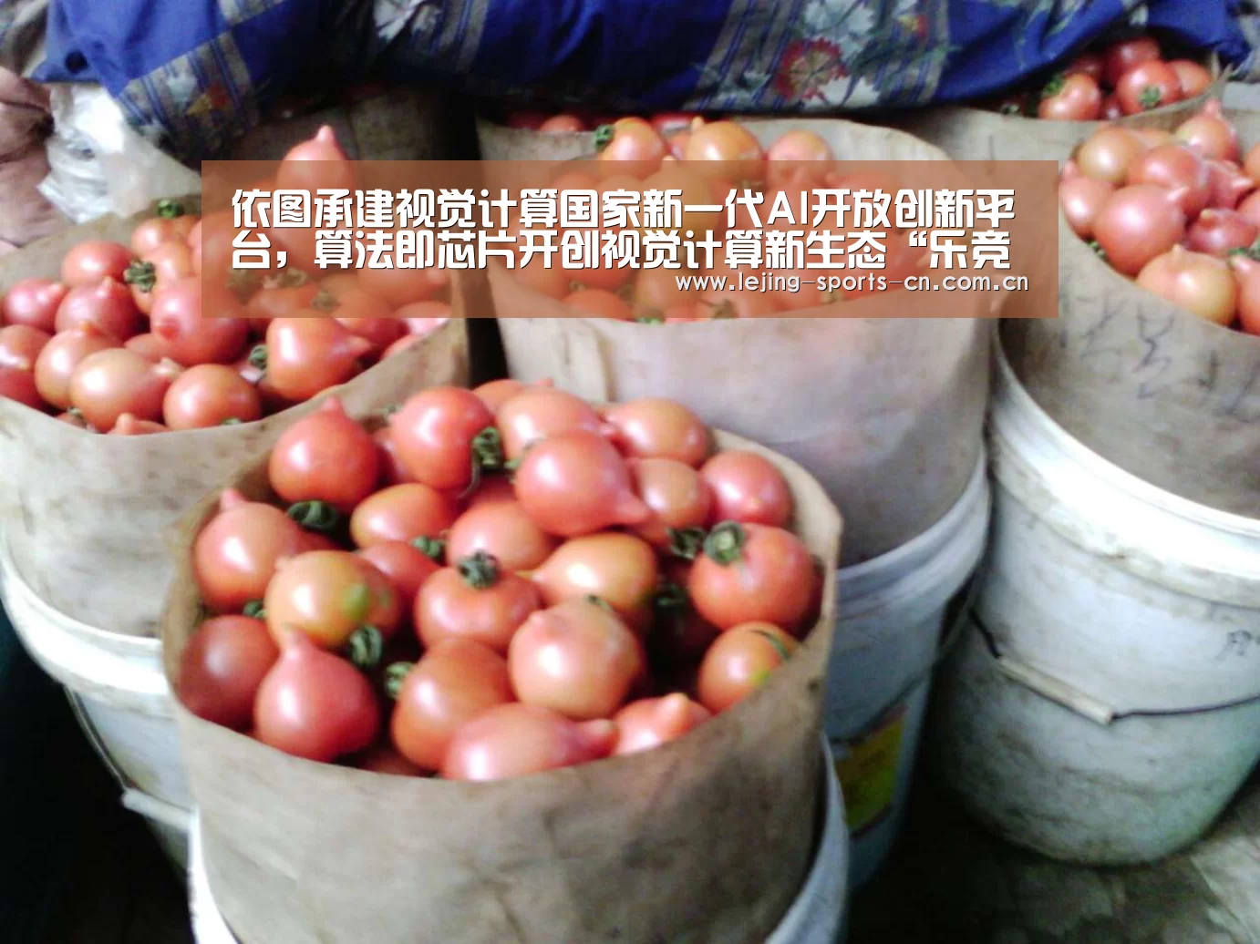 乐竞