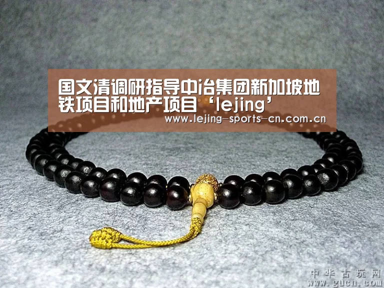 国文清调研指导中冶集团新加坡地铁项目和地产项目‘lejing’(图1) 乐竞俱乐部