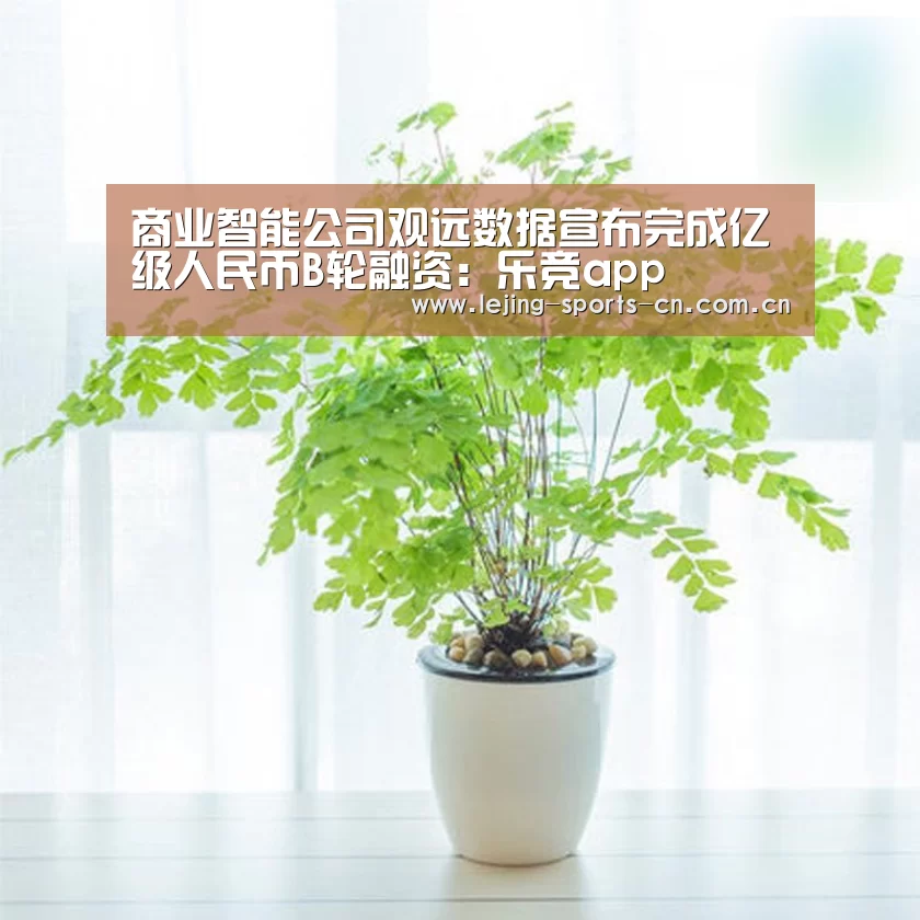 商业智能公司观远数据宣布完成亿级人民币B轮融资:乐竞app(图4) 乐竞首页